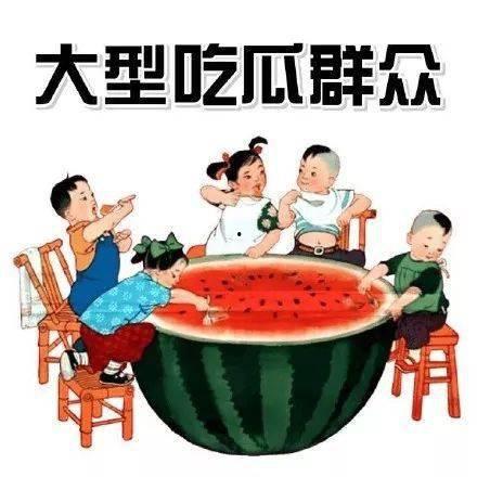 《校园吃瓜记》,揭秘校园里的那些“瓜”  第1张